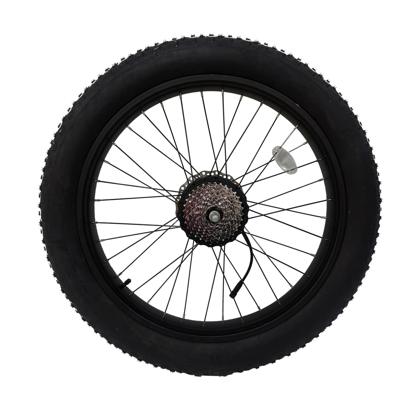 Rear Motor & Fat tire