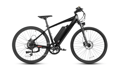 electric cross bicycle Rixoc GT19 Dirt Bike With BMS Safety System Charger Bulls Cross Lite S